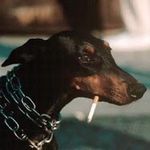 D.T.N - @david_norvell_ - Instagram