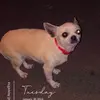 David NossTRa - @david.nosstra - TikTok