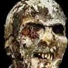 davidnothstine74 - @davidnothstine74 - TikTok