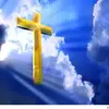 David Nowell Sr. - @david.nowell.sr - TikTok