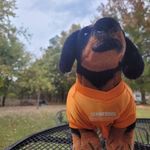 David Nunley - @davidbradnunley - Instagram
