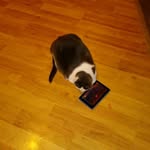 David Nutt - @davidnutt12 - Instagram