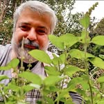 David nutt - @davidnutt63 - Instagram