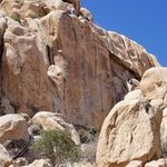 David Nygren - @dnygren858 - Instagram