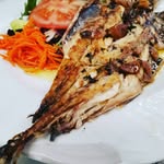 David Oconner - @althmedish - Instagram