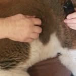 David Russell Oconner Jr. - @david.oconner.121 - Instagram
