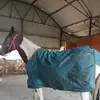 david o d - @david.o.d8 - TikTok
