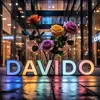 @ davidodaxi - @davidodaxi - TikTok