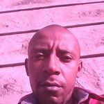 david oddie - @davidoddi - Instagram