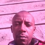 david oddie - @davidoddi - Instagram