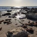 David Oddie - @oddie.david - Instagram
