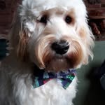 David Oddy - @david.oddy.56 - Instagram