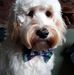 David Oddy - Facebook