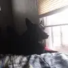 David Odegard - @david.odegard - TikTok