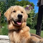 David Odeh - @odeh3828 - Instagram