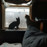 David Odenweller - @odenwellerdavid - Instagram