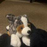 David Odle - @totalodle - Instagram