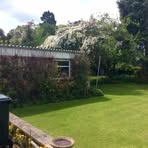 David Odling - Facebook
