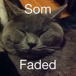 David Odstrcil - @davidodstrcil - Instagram