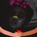 Deivid Asor - Facebook