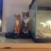 David Oest - Facebook