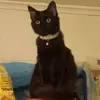 David Offutt - @david.offutt1 - TikTok