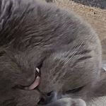 David Offutt - @dkoffutt - Instagram