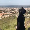 @david- - @davidofman1 - TikTok