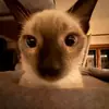 davidkofman - @davidkofman - TikTok