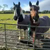 david ogg - @david.ogg1 - TikTok