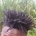 D Lwapa Ayagwenuka - Facebook