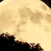 David olds72 - @david.olds72 - TikTok