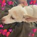 David Oleksak - Facebook