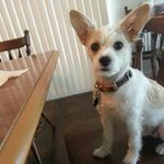 David Olivieri - @d.olivieri - Instagram