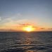 David Olley - Facebook