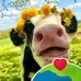David Olson - Facebook