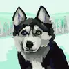 David Omar - @david.omar03 - TikTok