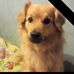 Dawid Omilianowicz - Facebook