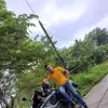 David onan - @davidonanmoreno - TikTok