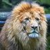 David Yonda - Facebook