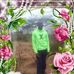 David Ondiek - Facebook