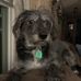David Ondo - Facebook