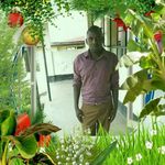 David Van Ongiri - @davidvanongiri - Instagram