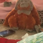 David Onion - @12345678910dave1 - Instagram
