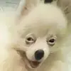 OnionDavid089 - @oniondavid8 - TikTok