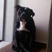 David Onorato - Facebook
