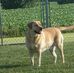 Dave Onisko - Facebook