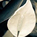David Onyancha - @david.onyancha - Instagram