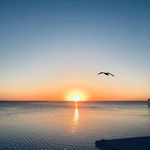 David Opiela - @big_d_opiela - Instagram