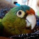 Josue Oporta - @david_oporta1 - Instagram